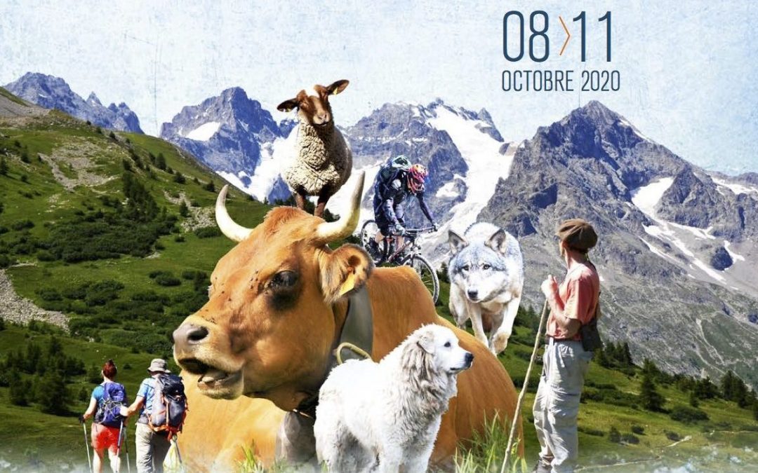 15ème festival international du film Pastoralismes et Grands Espaces 8/11 octobre à Grenoble